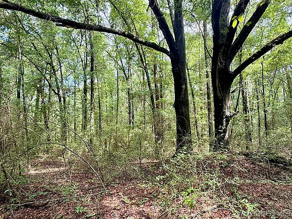 3rd image of Private Road 1702