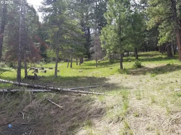 3300 Blake Ranch Rd Lot 33, Heppner, OR 97836
