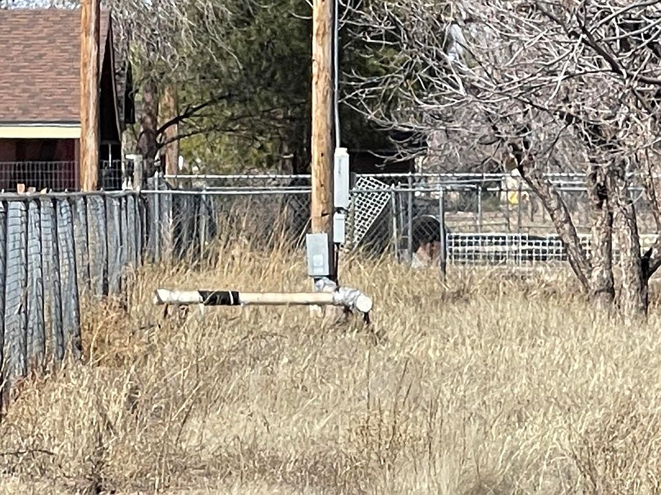 113117 La Nell St, Canutillo, TX 79835 MLS 878252 Zillow