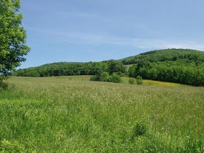 0 Gladstone Hollow Rd, Andes, NY, 13731