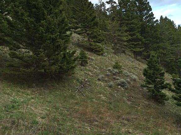 3rd image of 141 Rocky Mountain Mdws