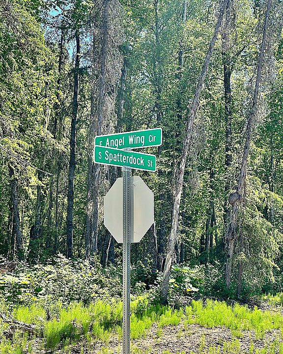 1st image of 0 Snowshoe Woods Block 1 Lot 2
