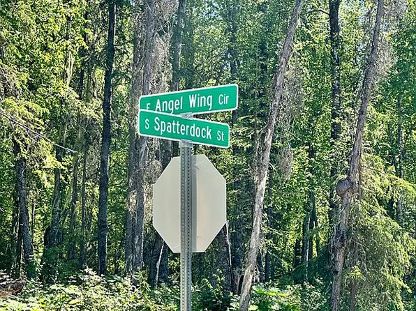 0 Snowshoe Woods Block 1 Lot 2, Talkeetna, AK 99676