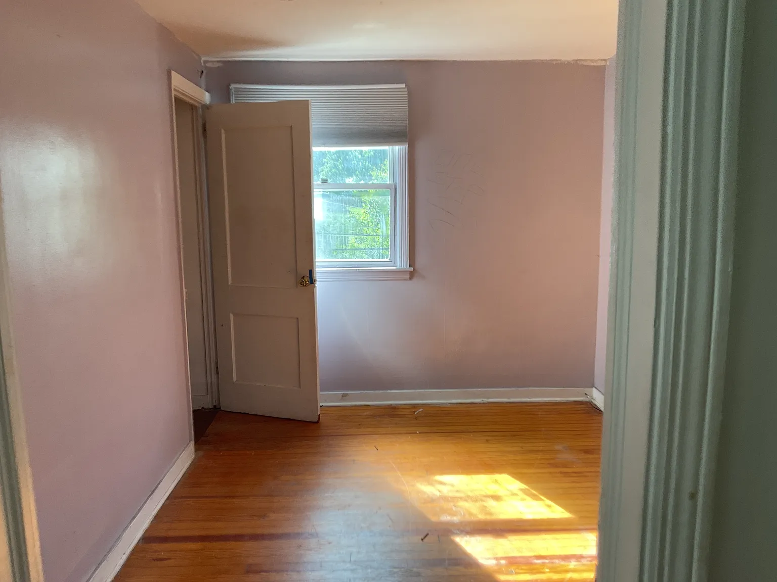 233 Thompson Run Road - 231 — Photo 2