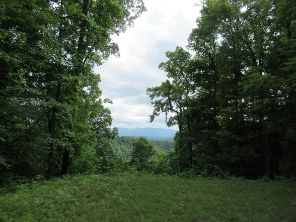 17 Berry Cove Rd, Franklin, NC 28734