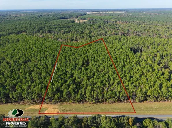 LOT 4 Highway 80 W, Adrian, GA 31002