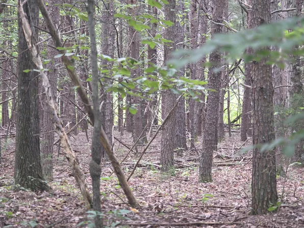 0 Woodland Forest Dr, Rocky Mount, VA 24151
