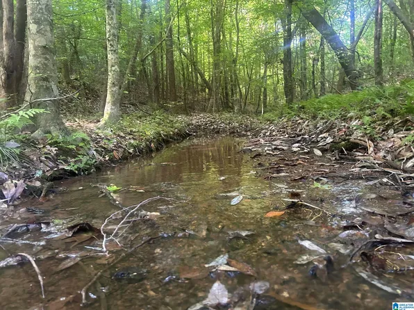 Walker Rd #1, Cragford, AL 36255