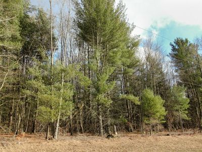 0 Crow Hill Rd, Laurens, NY, 13796
