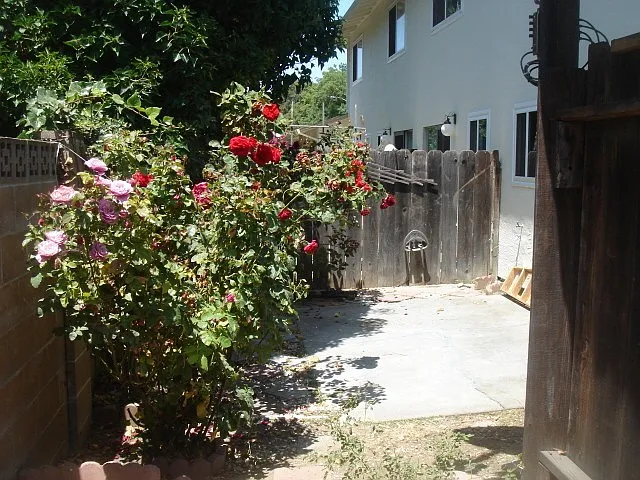4560 Thornton Ave #15 — Photo 12