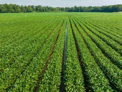 Clay Rd #102, Success, AR, 72470