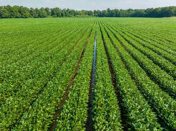 Clay Rd #102, Success, AR 72470