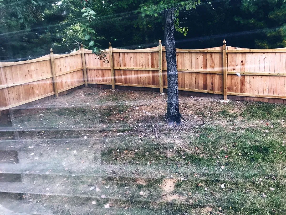 3 bed, 1900 sqft, $2,900 — Photo 4