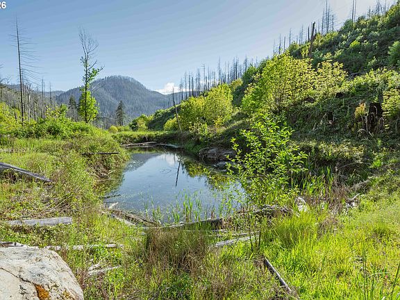 4th image of 942 Honey Creek Rd