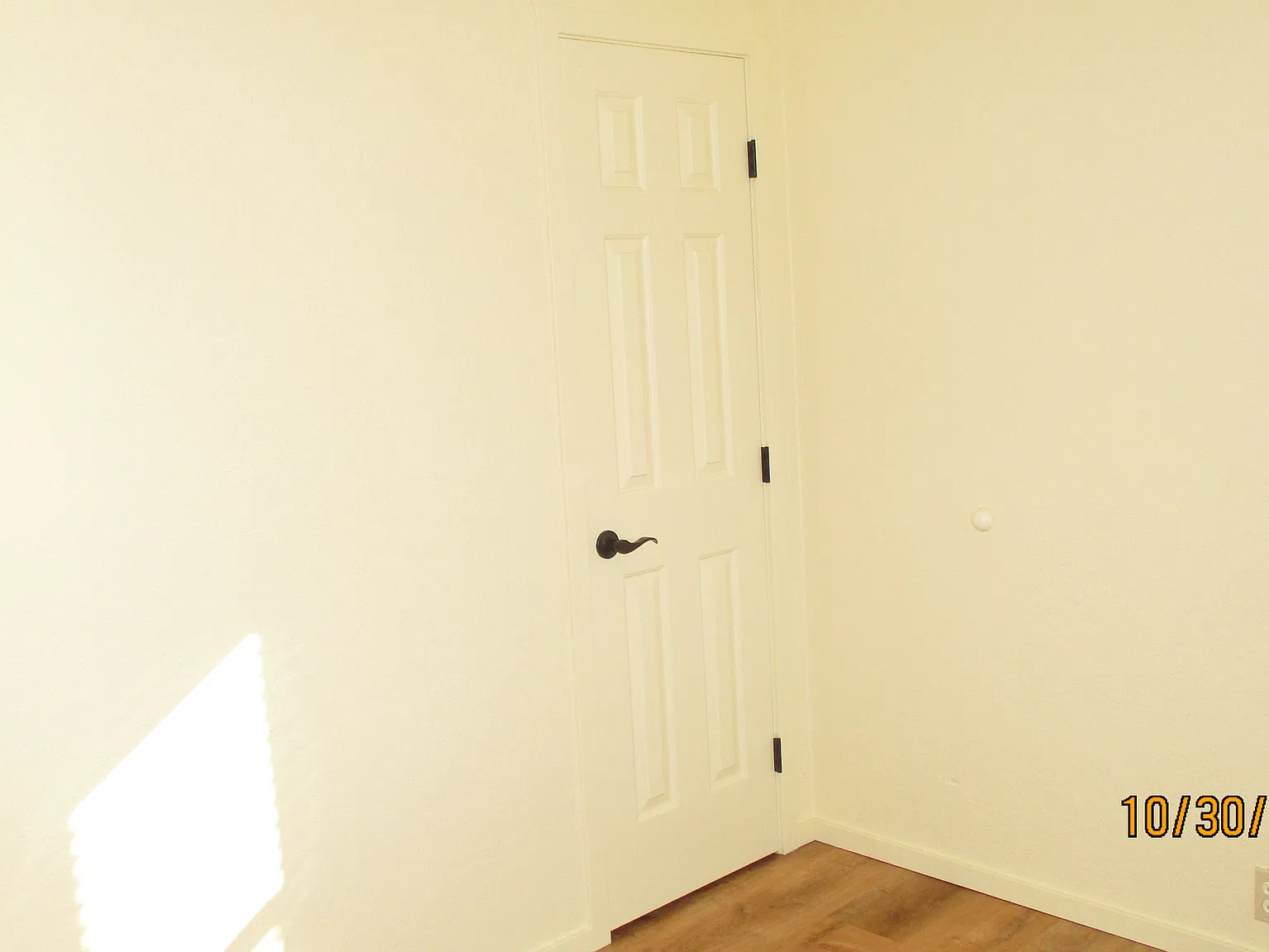2 bed, 688 sqft, $1,300 — Photo 4