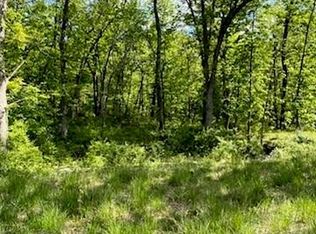 14714 S Timber View Pl, Lone Jack, MO 64070