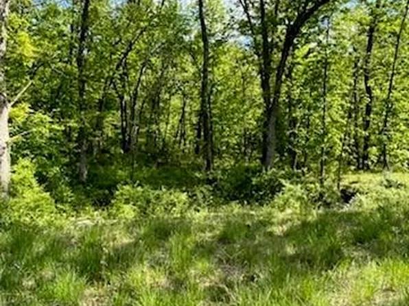 14714 S Timber View Pl, Lone Jack, MO 64070