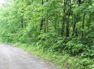 2304 Shady Cove Rd, Caryville, TN 37714