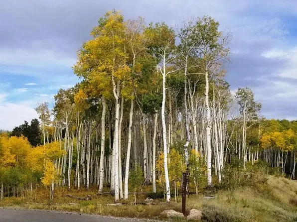 Blue Sky Ln Lot 1, Montrose, CO 81403