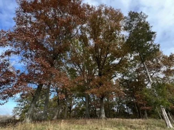 0 Corum Hill Rd, Castalian Springs, TN 37031