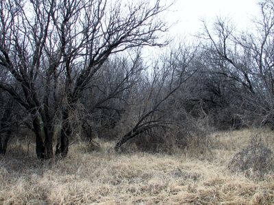 1 Acre E Butterfield Ln, Benson, AZ, 85602