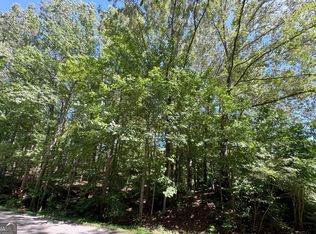 91 Remsdale St, Toccoa, GA 30577