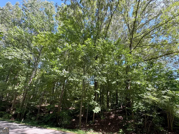 91 Remsdale St, Toccoa, GA 30577