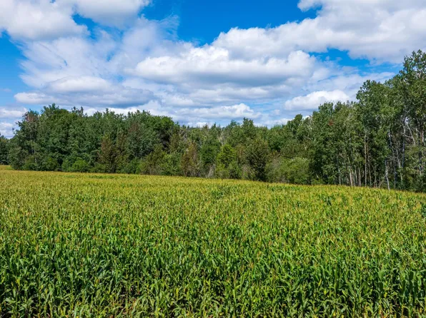 180th St, Verndale, MN 56481