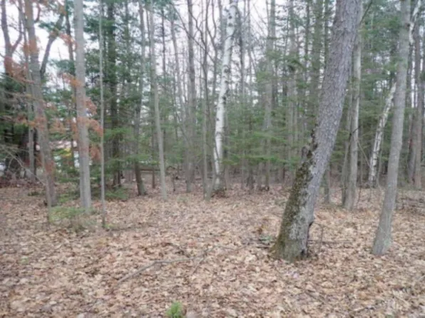 Vl Deerhaven Rd, Alger, MI 48610