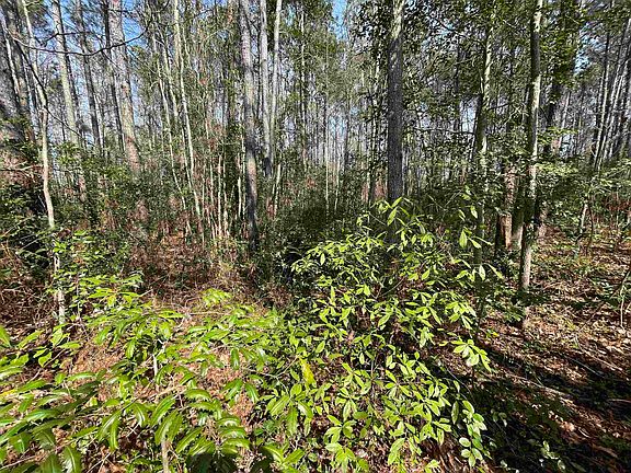 5th image of 1243 Hwy 9