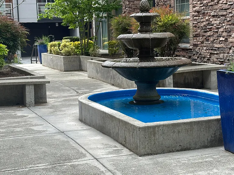 Delano — Photo 2