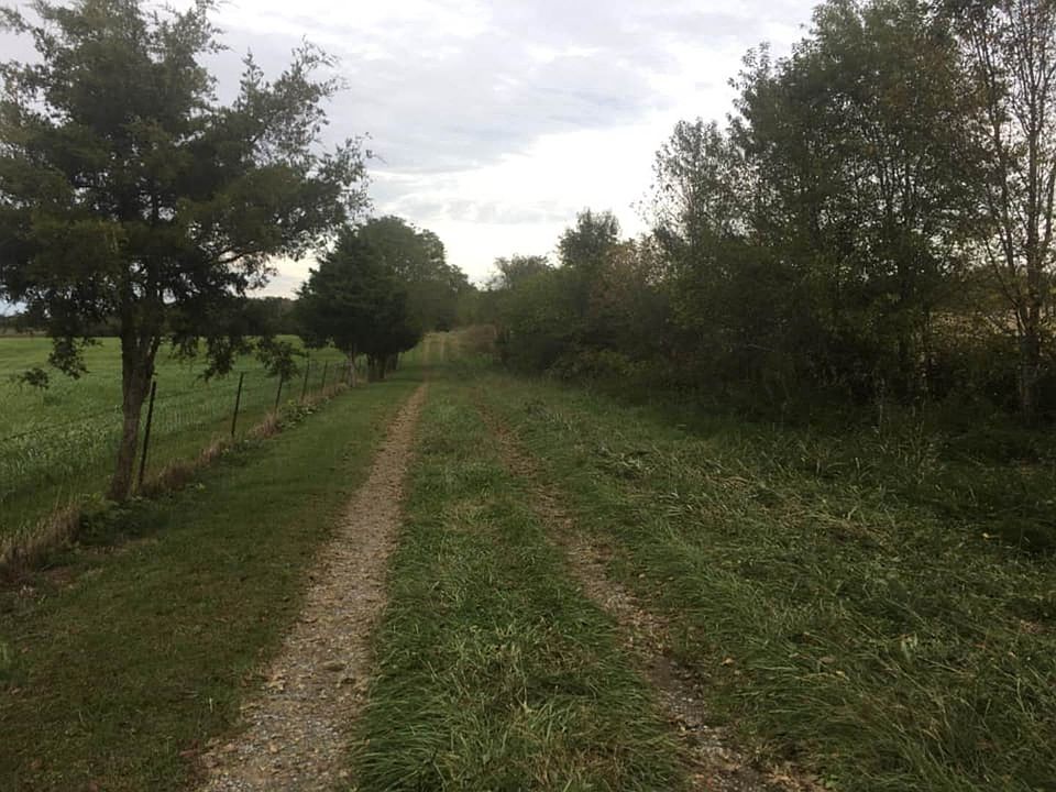 2nd image of 205 Raccoon Walk #42728