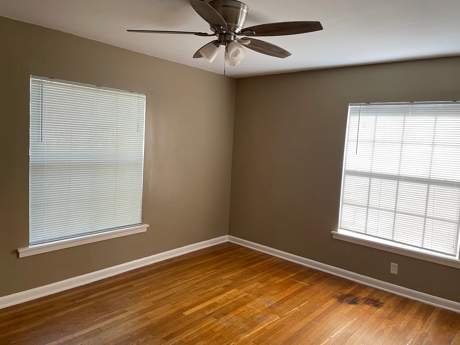 2 bed, 1000 sqft, $1,250 — Photo 2