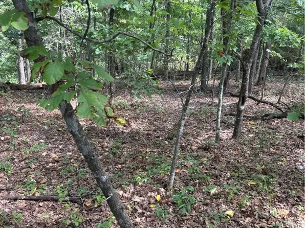 Newhaven Ln #33, Bella Vista, AR 72714