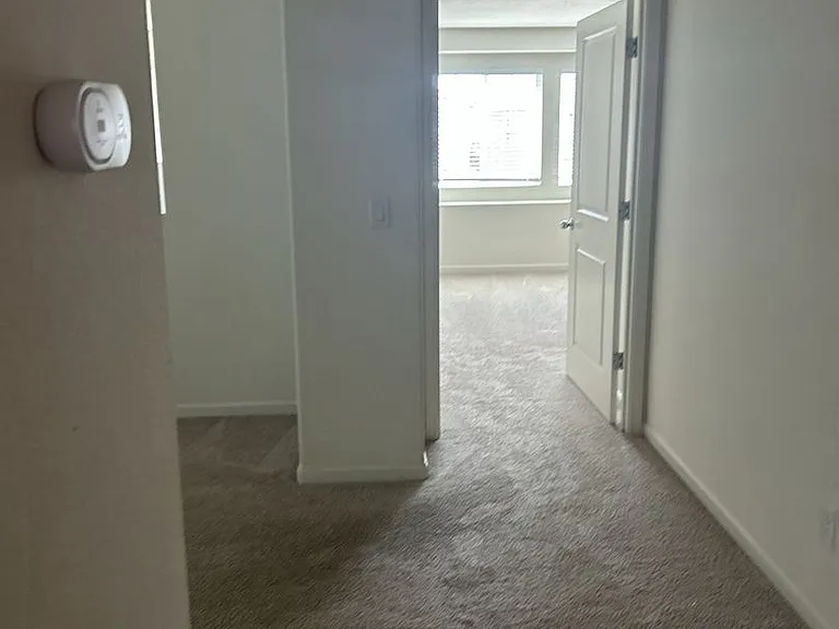 3816 Arborhill Way — Photo 20