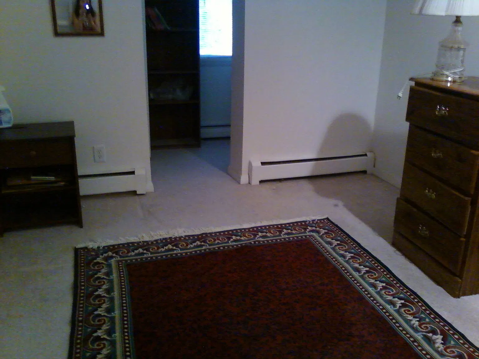 2 bed, 800 sqft, $1,250 — Photo 3