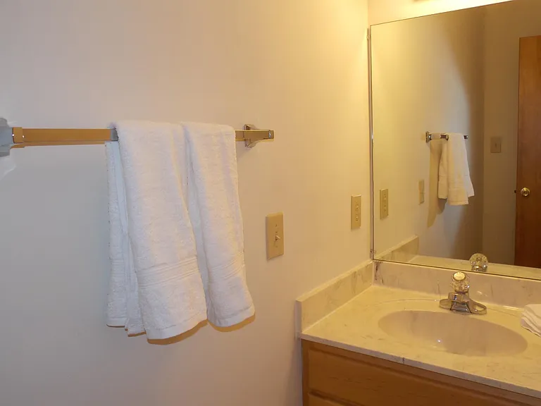 Large bathroom with linen closet, tub/shower, and full size