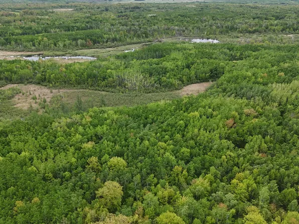 Little Sand Creek Rd, Sandstone, MN 55072