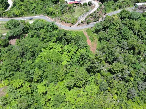 Bo San Patricio Sector, Ponce, PR 00731