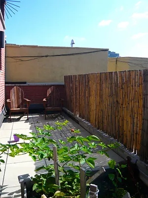 Rented by Veracity NYC LLC | media 15