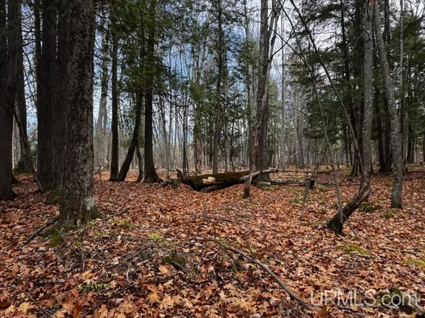 Tbd Skanee Rd, Skanee, MI 49962