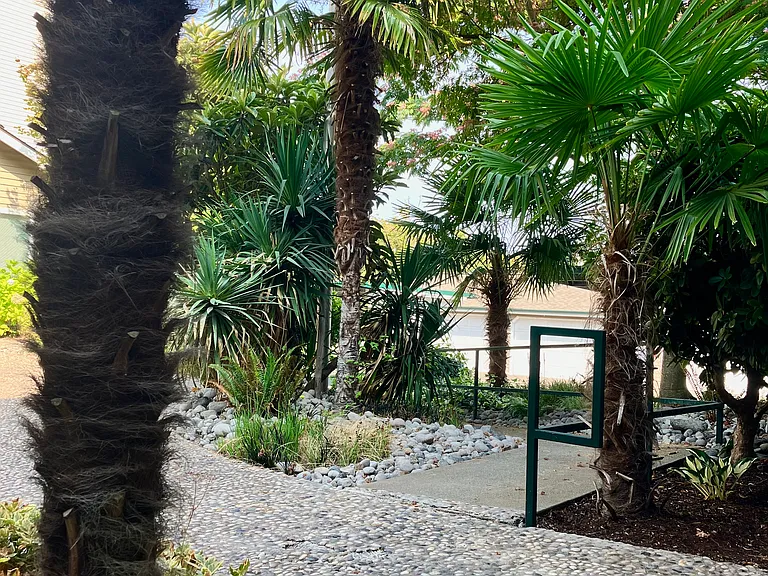 Oasis Apartments — Photo 8