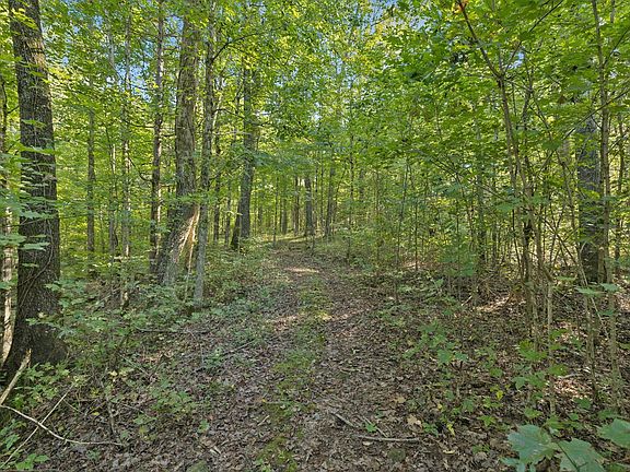 2nd image of 8435 Taliaferro Rd Lot 1