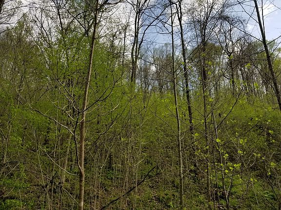 3rd image of Savannah Hwy