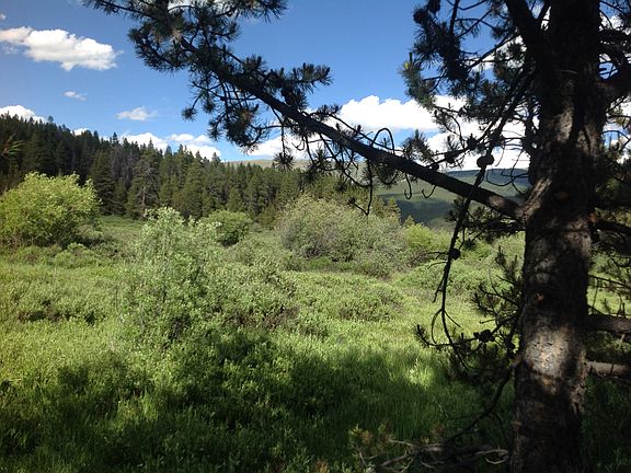 3rd image of 297 County Road 19