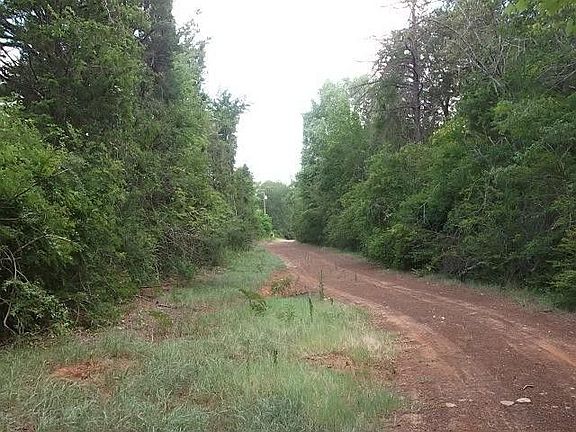 4th image of 1482 County Road 124