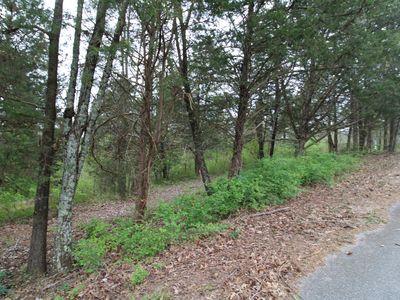 2534 Folkner Rd, Hixson, TN, 37343