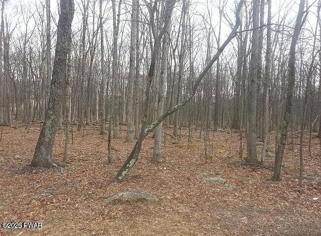 2nd image of 268 Evergreen Ct