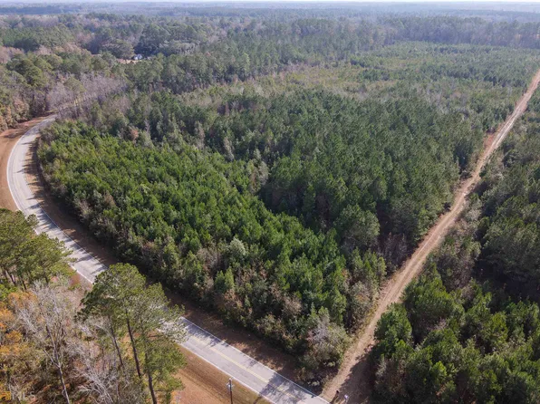 1 Berryville Rd, Clyo, GA 31303