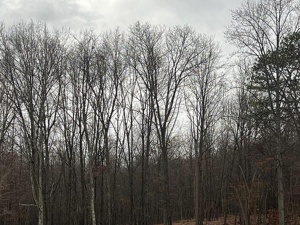 2nd image of 1949 Locust Grove Rd